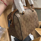 Coachh mini rowan