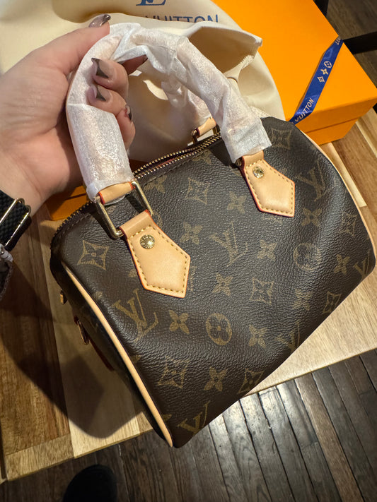 Mini speedy crossbody