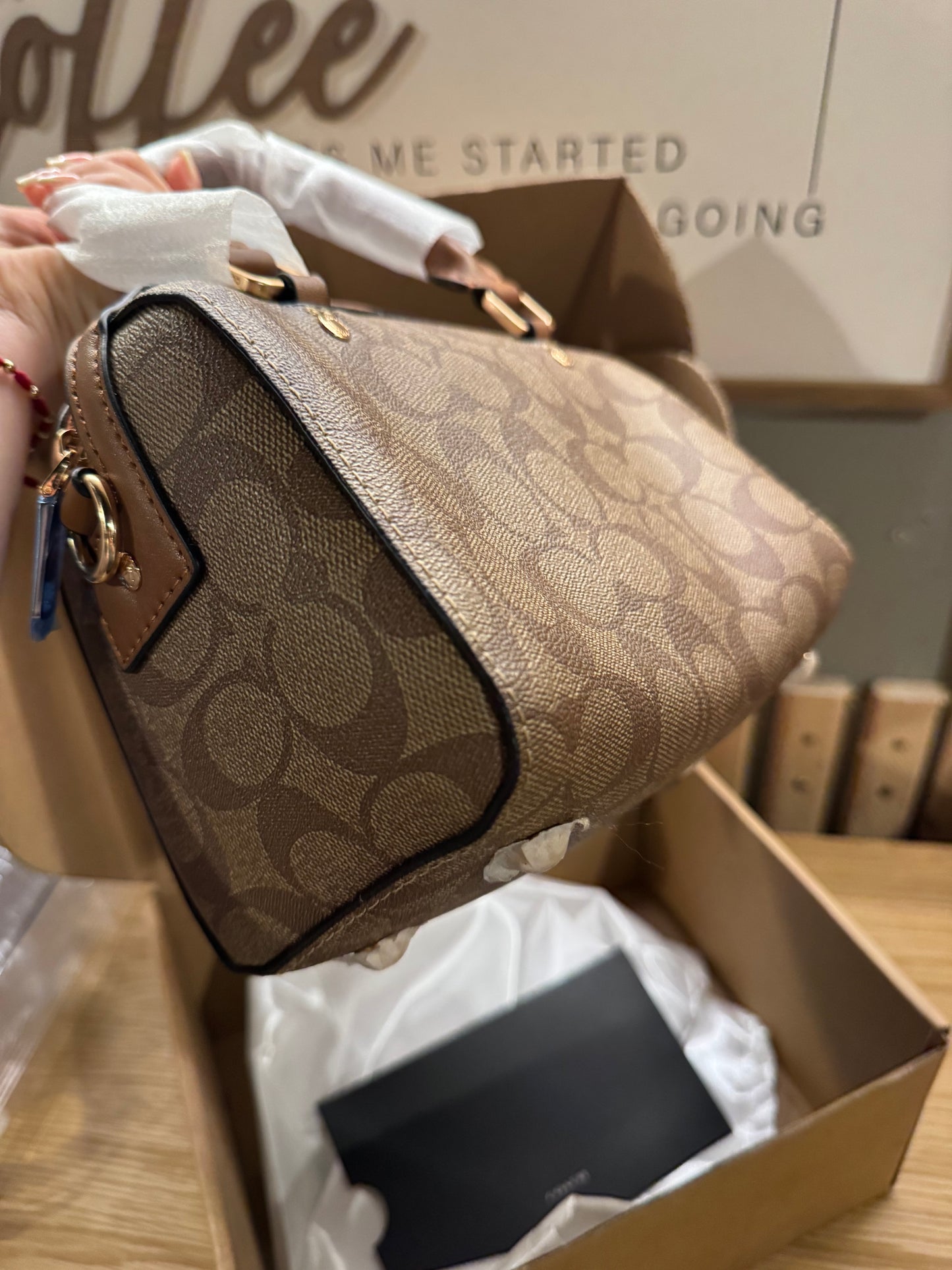 Coachh mini rowan